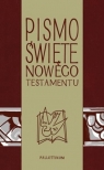 Pismo Świete - NT z ilustracjami praca zbiorowa