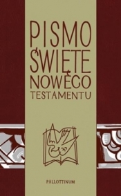 Pismo Świete - NT z ilustracjami - praca zbiorowa