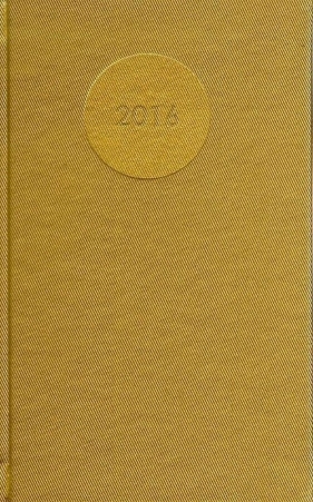 Kalendarz 2016 A6 Top2000 złoty - <br />