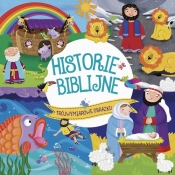 Historie Biblijne (Uszkodzona okładka)