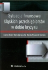 Sytuacja finansowa śląskich przedsiębiorstw w dobie kryzysu Błach Joanna, Gorczyńska Maria, Wieczorek-Kosmala Monika