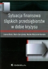 Sytuacja finansowa śląskich przedsiębiorstw w dobie kryzysu Joanna Błach, Maria Gorczyńska, Monika Wieczorek-Kosmala