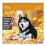 Kalendarz wieloplanszowy Psy 30x30 2020 (LP52-20)