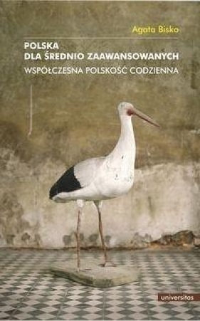 Polska dla średnio zaawansowanych. - Agata Bisko