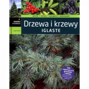Drzewa i krzewy iglaste - Kurowski Lucjan
