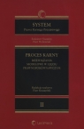 System Prawa Karnego Procesowego Tom 2 Proces karny rozwiązania modelowe w