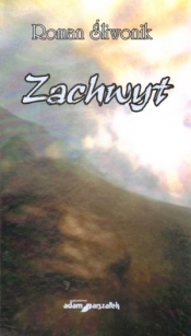 Zachwyt