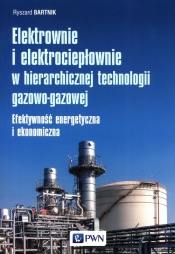 Elektrownie i elektrociepłownie w hierarchicznej technologii gazowo-gazowej - Bartnik Ryszard
