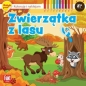 Zwierzątka z lasu Koloruję i naklejam - Opracowanie zbiorowe