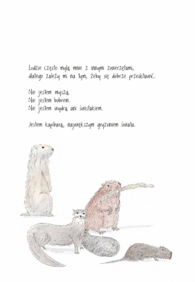 Być jak kapibara - Michela Fabbri