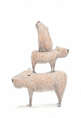Być jak kapibara - Michela Fabbri