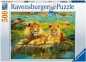 Ravensburger, Puzzle 500: Dzika przyroda (16584)