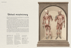 Anatomicum. - Jennifer Z. Paxton