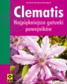 Clematis najpiękniejsze gatunki powojników