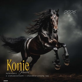 Kalendarz albumowy duży 2026 - Konie z ciekawostkami