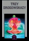 Trzy drogowskazy