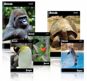 Zeszyty Top 2000 animals A4 krata 60 (100302645)