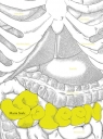  Spleen