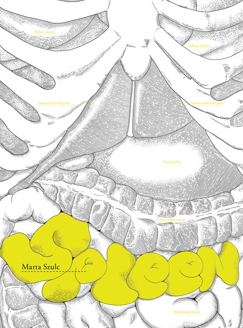 Spleen