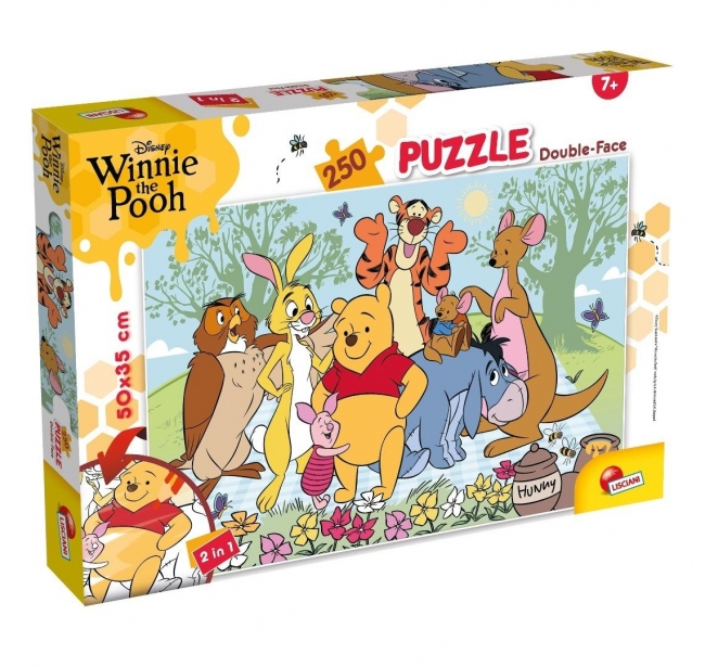 Puzzle Df Plus 250 Kubuś Puchatek