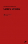  Łania w styczniu