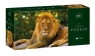 Puzzle 250: Wild Animals 6 - Lion