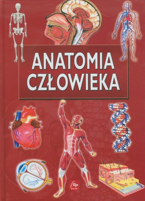 Anatomia człowieka