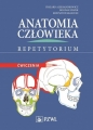 Anatomia człowieka Repetytorium Ćwiczenia - Ryszard Aleksandrowicz, Bogdan Ciszek, Krzysztof Krasucki