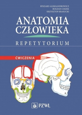 Anatomia człowieka Repetytorium Ćwiczenia - Aleksandrowicz Ryszard, Ciszek Bodan, Krasucki Krzysztof