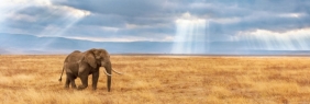 Puzzle 1000 High Quality Collection: Panorama Lost (39484)
