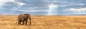 Puzzle 1000 High Quality Collection: Panorama Lost (39484)