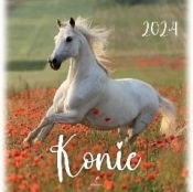 Kalendarz 2024 Konie