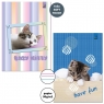 Zeszyt A4/32K 3-linie kolor 90g BF Cats (6szt)