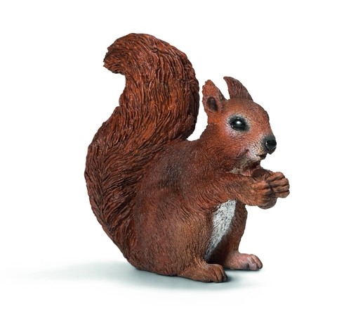 Jedząca wiewiórka (14684)