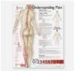 Understanding Pain Anatomical Chart