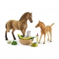 Zestaw pielęgnacyjny quarter horse i źrebię - Schleich (42432)