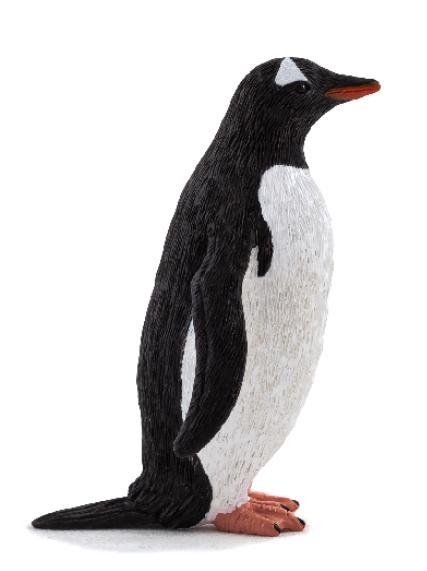 ANIMAL P. Pingwin białobrewy