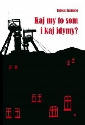 Kaj my to som i kaj idymy? - Jamnicki Tadeusz