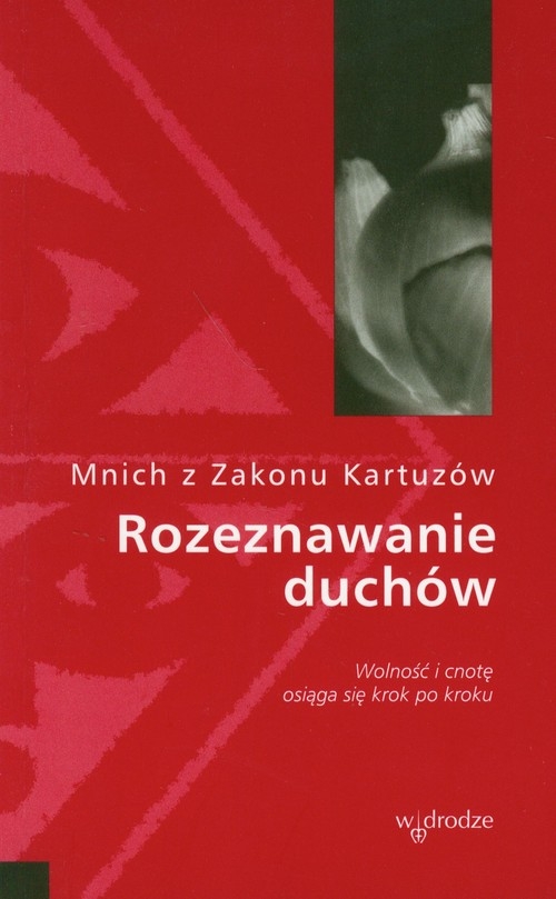 Rozeznawanie duchów