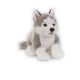 Husky Maskotka (770684)