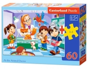 Puzzle 60: At the Animal Doctor