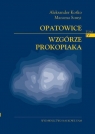Opatowice - Wzgórze Prokopiaka Tom IV Aleksander Kośko, Marzena Szmyt