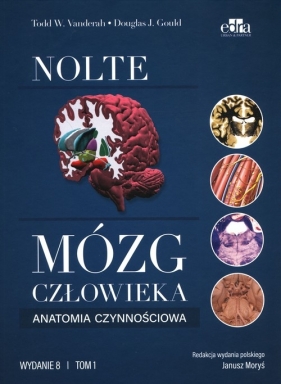 Mózg człowieka. Anatomia czynnościowa mózgowia Tom 1 - Vanderah T.W., Gould D.J.