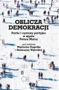Oblicza demokracji Partie i systemy partyjne w ujęciu Petera Maira