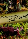 Kalendarz ścienny MALOWNICZY LAS 2018