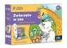  Czytaj z Albikiem: Zestaw Zwierzęta w Zoo (61547)Wiek: 3+