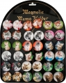 Magnesy koty 3,5cm 36szt