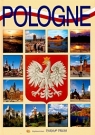 Pologne