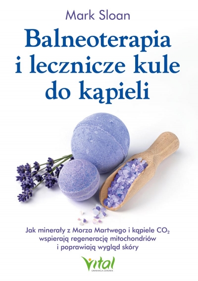 <img src='https://webimage.pl/pics/849/1/d9788384291849.jpg'>