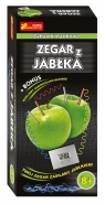 Zegar z jabłka